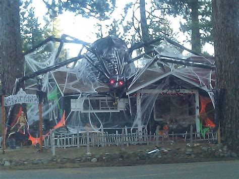 Wow Thats A Huge Spider Decoration Right There Covering The Entire