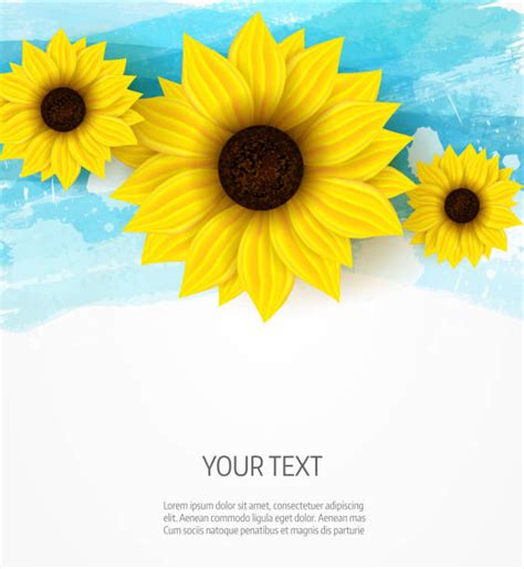 Best Sunflower Banner Pictures Illustrations Royalty Free