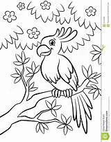 Parrot Tree Sitting Cute Kind Forest Flowered Coloring Pages Bird Leaves Illustration Drawing Colouring Giraffe Kids Smiling Eating Adult Choose sketch template