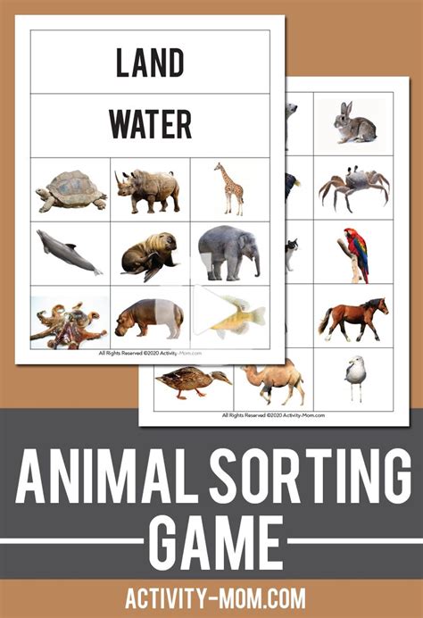 Sorting Printables Animal Activities For Kids Animal Learning