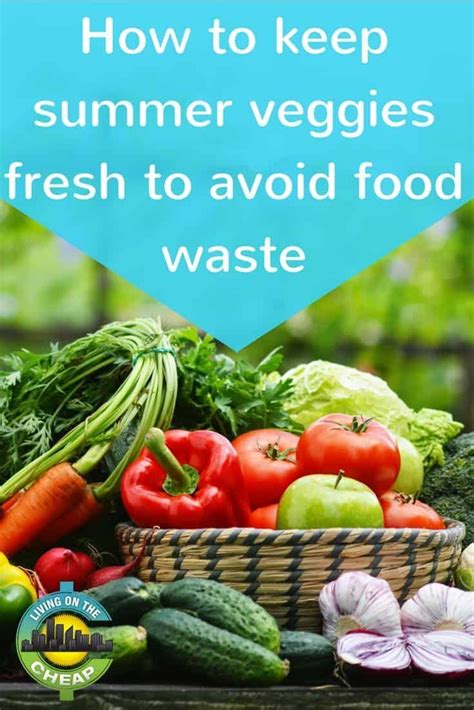 Ideas For Storing Fresh Summer Vegetables To Avoid Food Waste In 2020