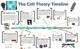 The Cell Theory Timeline by Gaby Ella on Prezi