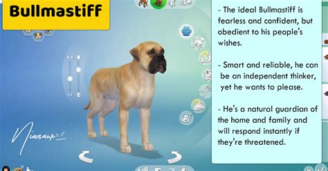 15 Pictures About Sims 4 Dog Breeds List Dogs Cats