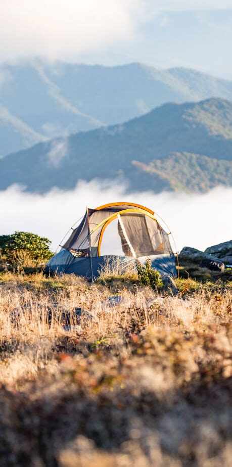 Camping Travel Insurance Cover | Top Dog Travel Insurance