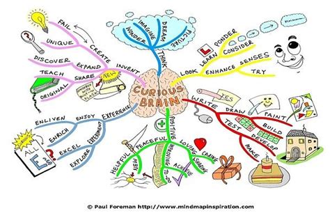 A Map Of The Mind Mind Map Brain Mapping Mind Map Art