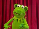 Kermit the Pig | Muppet Wiki | Fandom