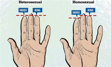 Teuer Stamm Bandit Ring Finger Testosterone Myth Darstellung Kohle