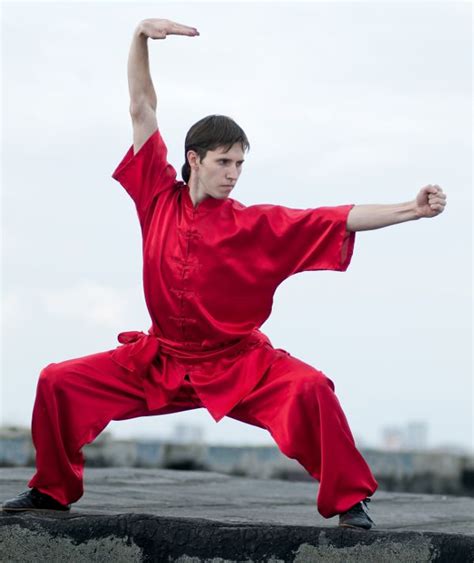 Shaolin Kung Fu Kung Fu Fighting Poses