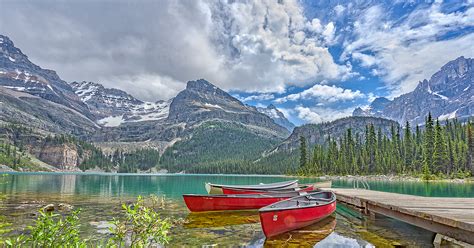 Lake O Hara In Yoho National Park In Canada Yoho National Park