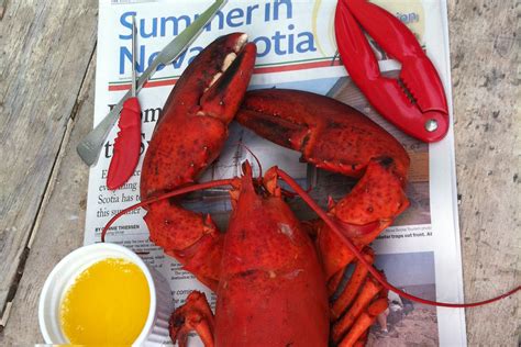 Whats Cooking In Nova Scotia This Week