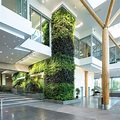 Sign In | Archello in 2021 | Green architecture, Architecture, Green wall