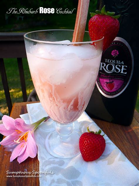 The pink russian cocktail substitutes strawberry flavored tequila rose for the heavy cream for a delicious, creamy mixed drink. The Rhubarb Rose Cocktail | Sumptuous Spoonfuls