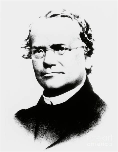 Gregor Mendel Photograph By National Library Of Medicinescience Photo