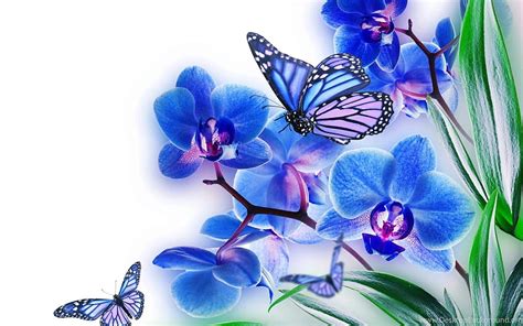 Butterfly Blue Flowers With Butterfly Royal Blue Flowers Hd Wallpaper