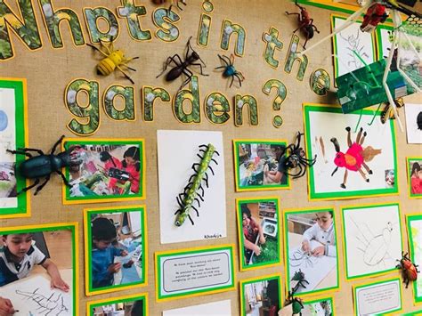 Mrs Burns On Twitter Nursery Display Boards Insects Preschool