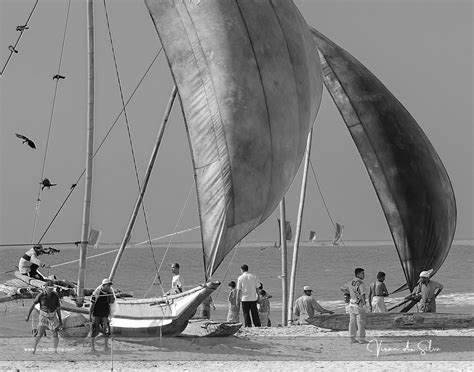 Fishing Boats Traditional Fishing Boats On Negombo Beach Viran De