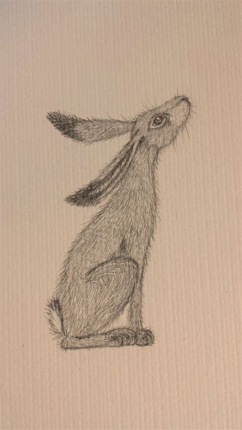 Wistful Hare Pencil Drawing A4 Art Print Pencil Drawings Art Art