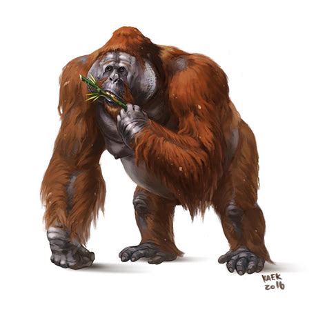 Who Would Win Gigantopithecus Vs Bear Abtc