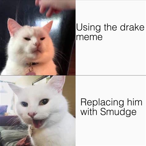 Using The Drake Meme Replacing Him With Smudge Smudge The Cat