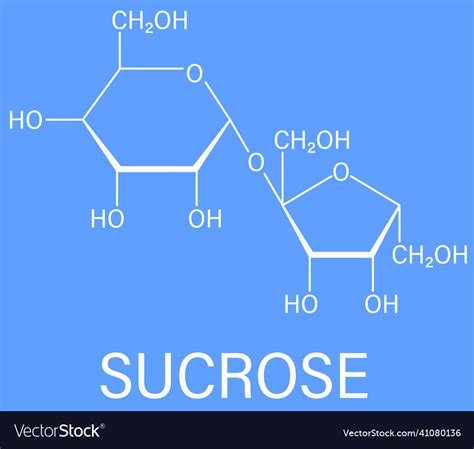 Sucrose Sugar Molecule Skeletal Formula Royalty Free Vector