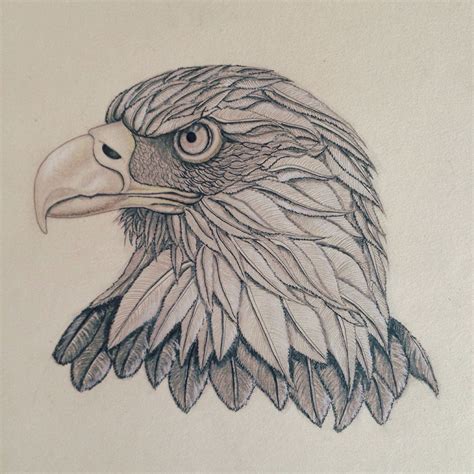 Eagle Sketch On Behance
