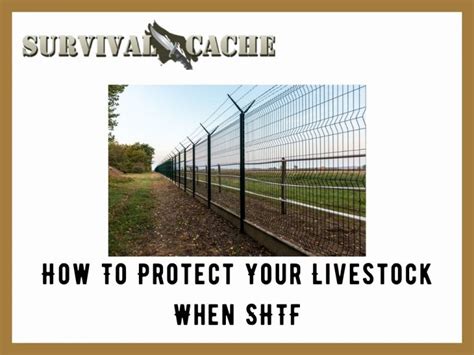 How To Protect Your Livestock When Shtf 5 Off Grid And 5 On Grid