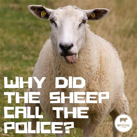 Why Did The Sheep Call The Police Sheepjoke Joke Royal Sheep Royal C