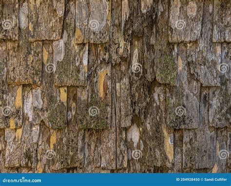 Textured Background Of Decaying Wooden Shingles Stock Photo Image Of