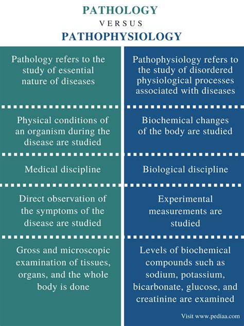 Difference Between Pathology And Pathophysiology Definition Facts