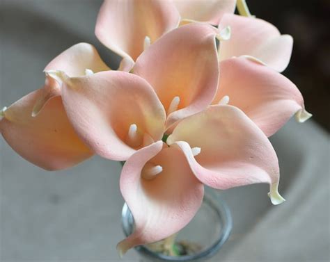 Blush Pink Calla Lilies Real Touch Flowers For Silk Wedding