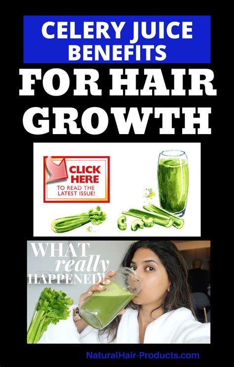 Celery Benefits For Hair Toro Vegetable