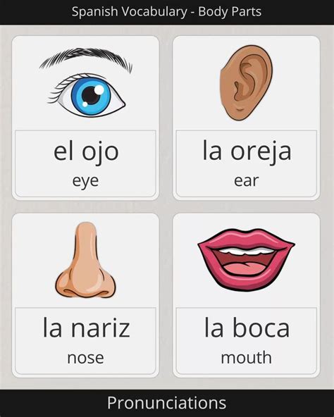 How To Say Eye Ear Nose And Mouth In Spanish Video Spanish