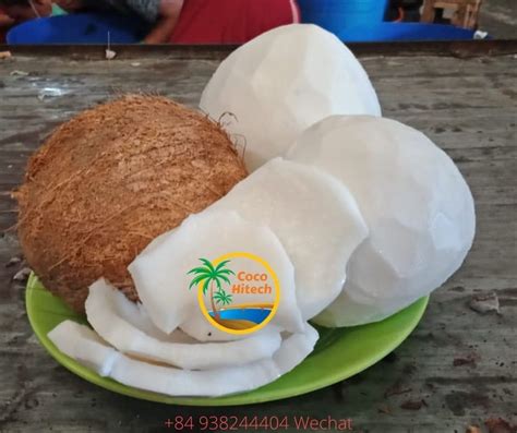 Top 5 Amazing Health Benefit Of Eating Fresh Coconut Coco Hitech