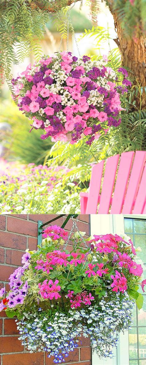 How to plant hanging basket plants. How to Plant Beautiful Flower Hanging Baskets ( & 20+ Best ...