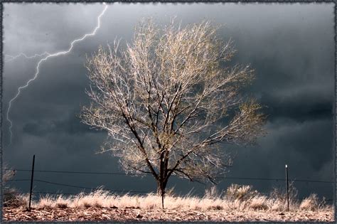 Wallpaper Sunlight Landscape Sky Winter Branch Lightning Storm