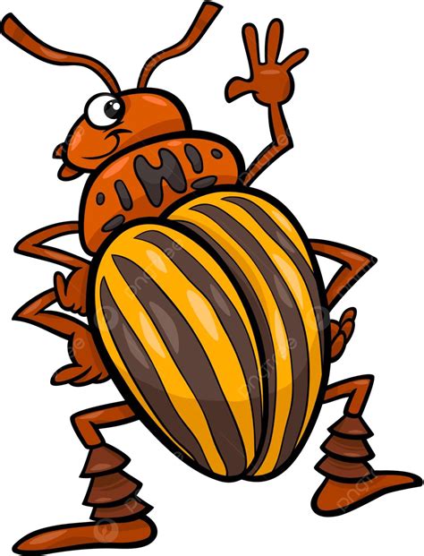 Patata Escarabajo Insecto Dibujos Animados Ilustración Pequeña Mascota