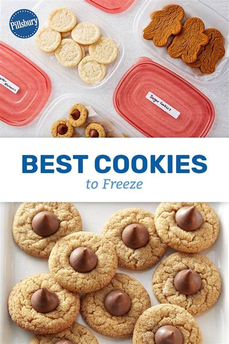 The best christmas cookies don't have to be complicated! Best Christmas Cookie Recipes To Freeze : From gingerbread cookies and sugar cookies to ...