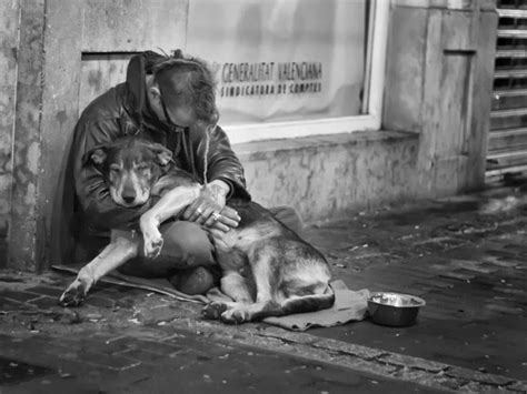 Heartwarming Photographs Of Homeless People With Their Dogs Dogs Dog