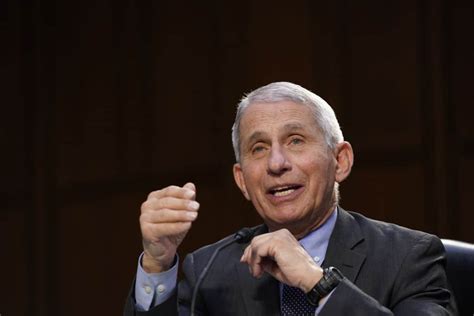 Bongino Tucker Slams Fauci Says Emails Reveal He Lied Under Oath