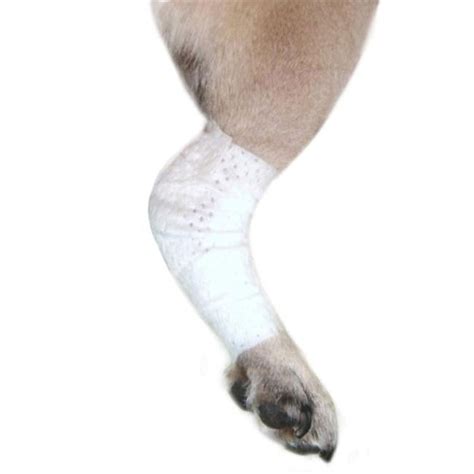 Pawflex Rj003 Universal And Joint Bandage For Pets Extra Small