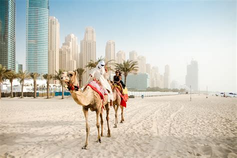 Cj Miles Riding A Camel In Dubai Marina — Photographer Jeff Lombardo