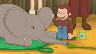 Watch Curious George Streaming Online | Peacock