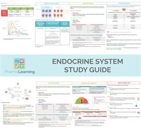 Digital Download Endocrine System Study Guide Pharmalearning