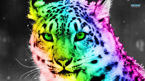 Neon animal wallpaper application is a great way to personalize your screen. Neon Animals Wallpapers - Top Free Neon Animals ...