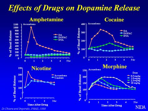 Dopamine Activity Chart