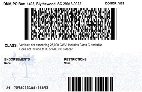 Drivers License Hologram Overlay In South Carolina Verscore