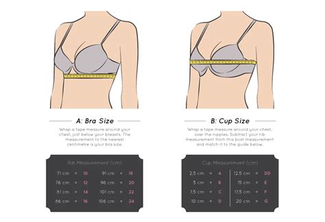 Bra Size Bra Fitting Guide Bra Size Guide Measure Bra Size