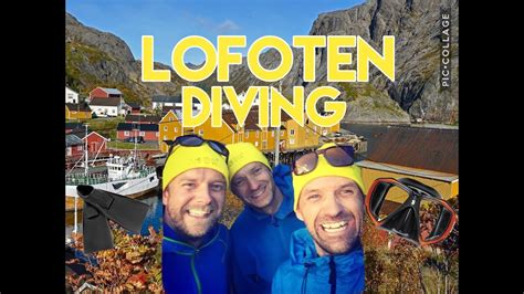 Diving In Lofoten Islands Norway Youtube