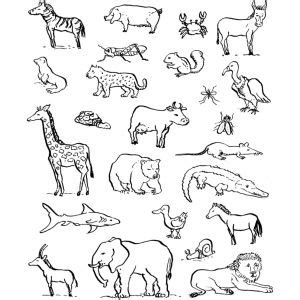Gioco disegnare e colorare animali gratis. Disegno di Animali da colorare per bambini | Animali ...