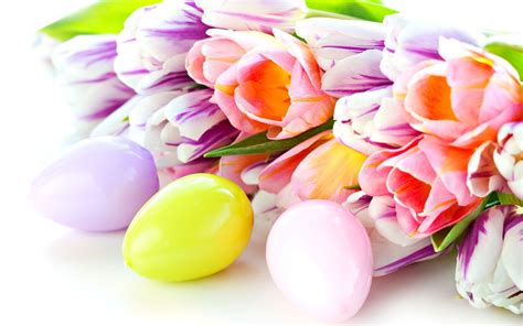 Download Wallpapers Easter Eggs Spring Tulips Spring Flowers Easter